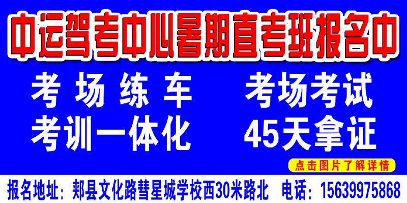 郏县最新招聘信息全面汇总