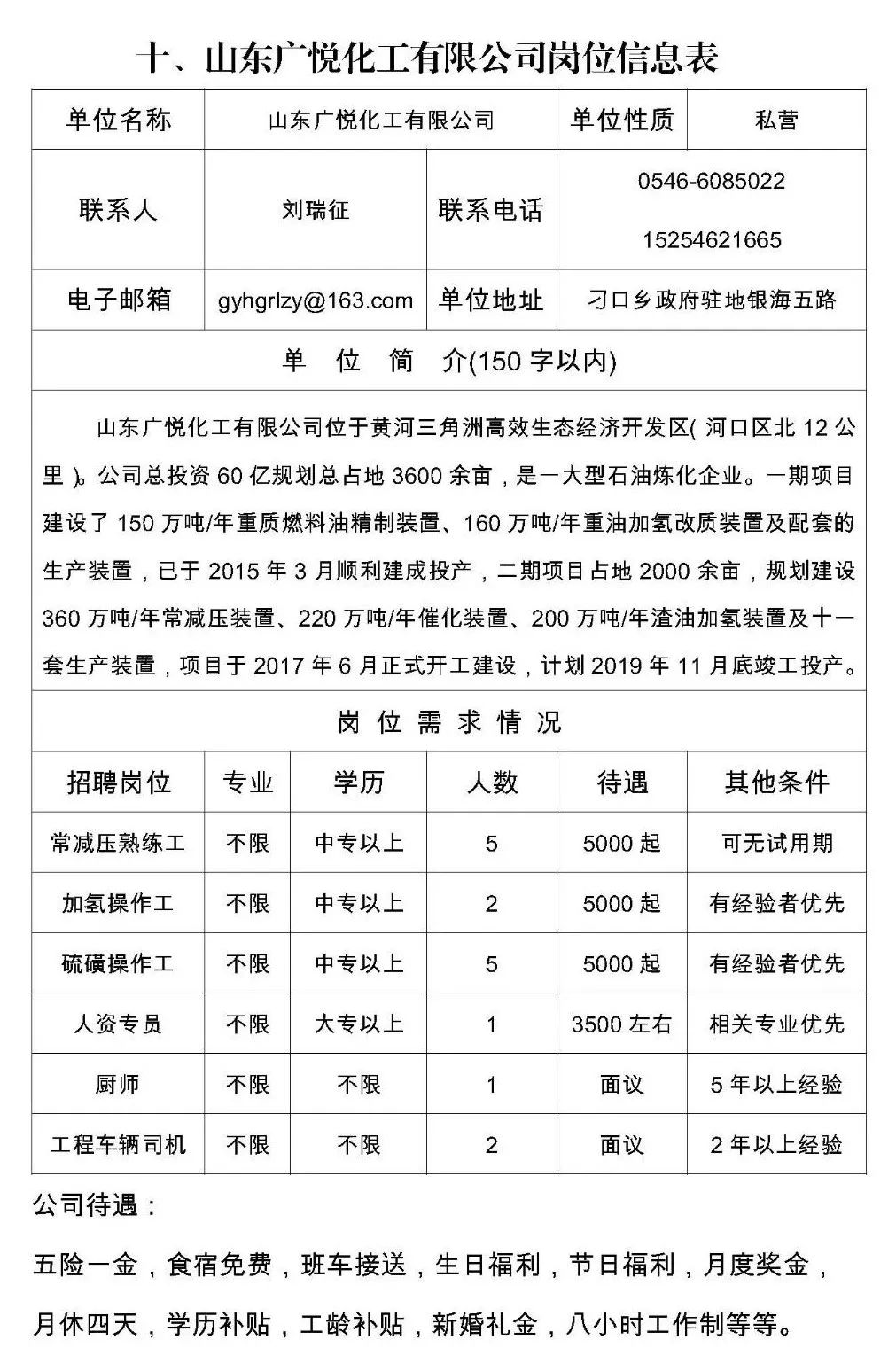 东营最新招聘信息动态解析