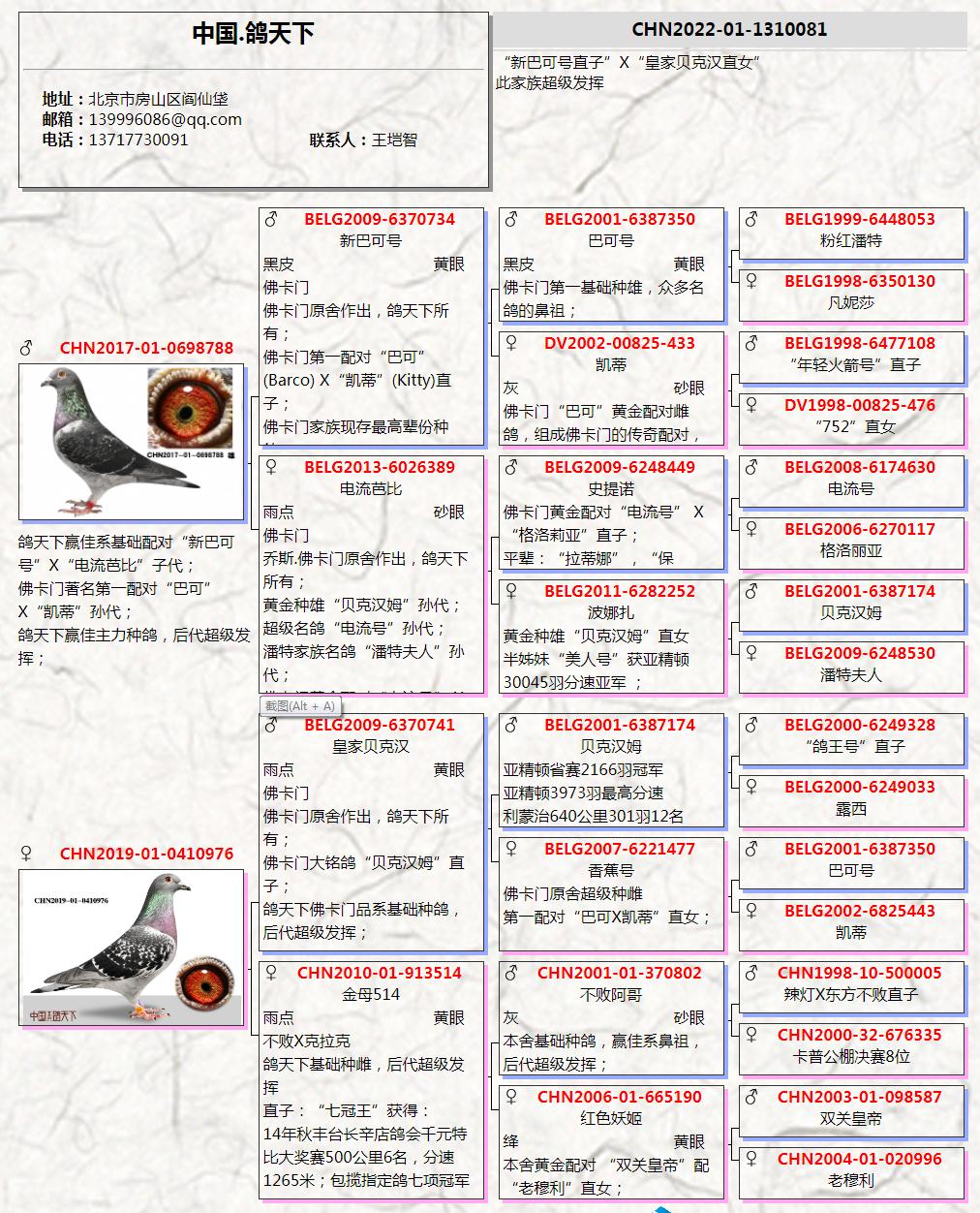 搜鸽天下下载指南与体验分享