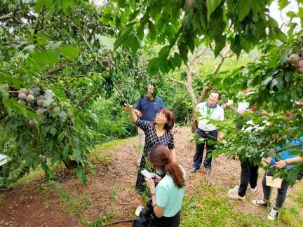 信宜云茂高速最新动态深度解析