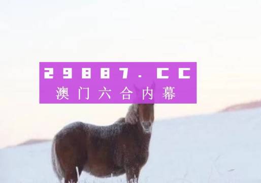 新澳门今晚精准一肖,创新执行策略解读_Console94.742