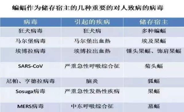 免费香港正版资料,权威诠释推进方式_tool55.647