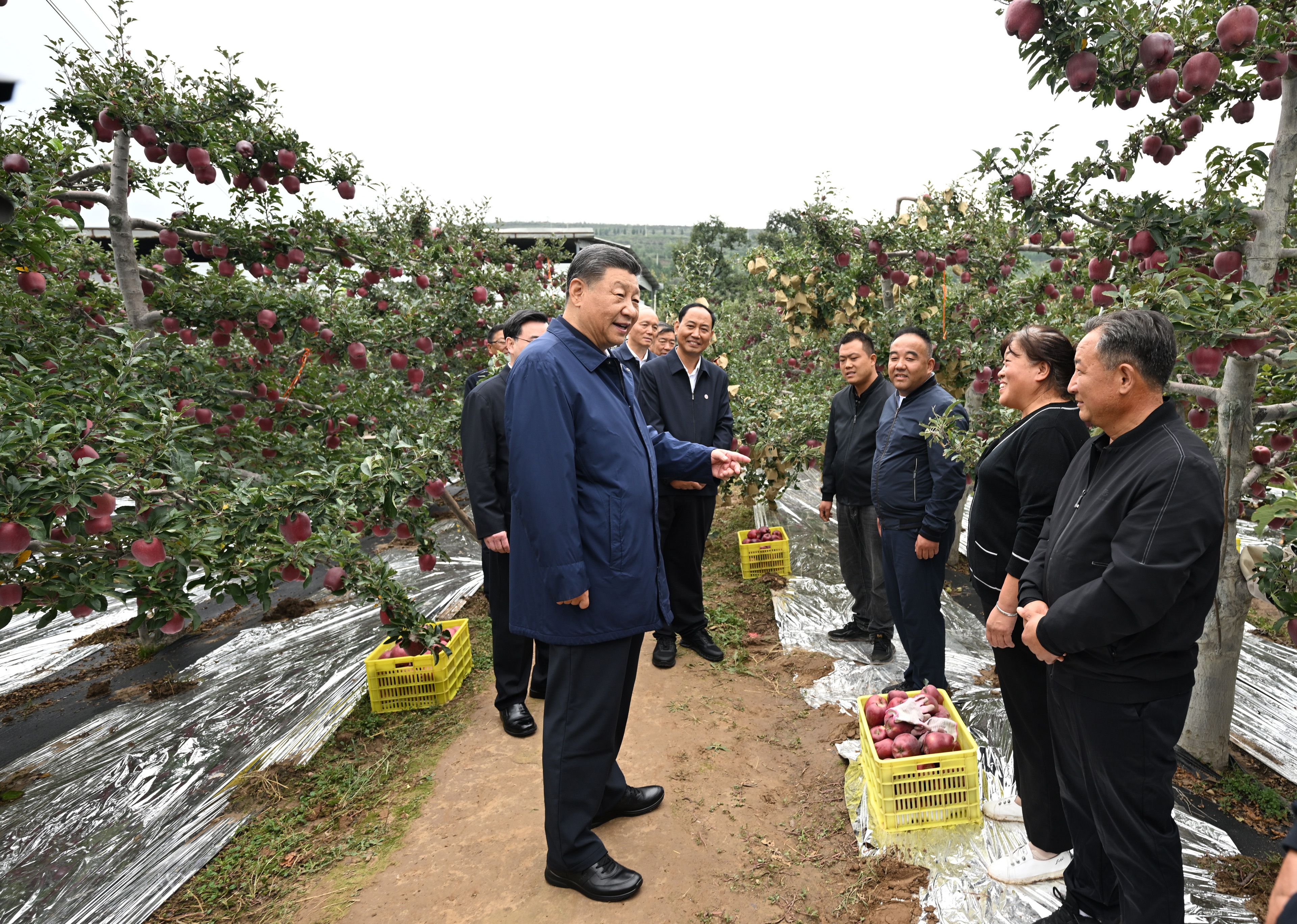 花南村委会现代化交通网络步伐加快，最新交通新闻综述