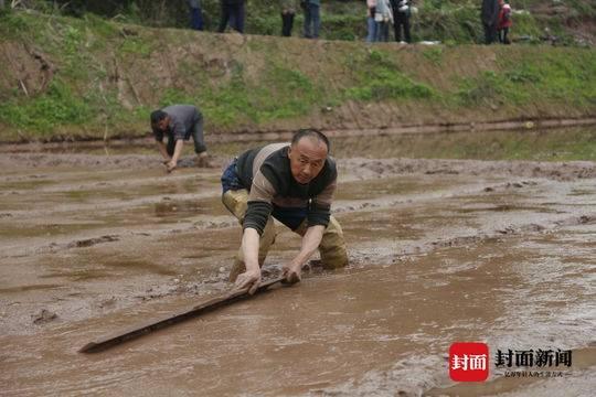 乐至县防疫检疫站最新动态报道