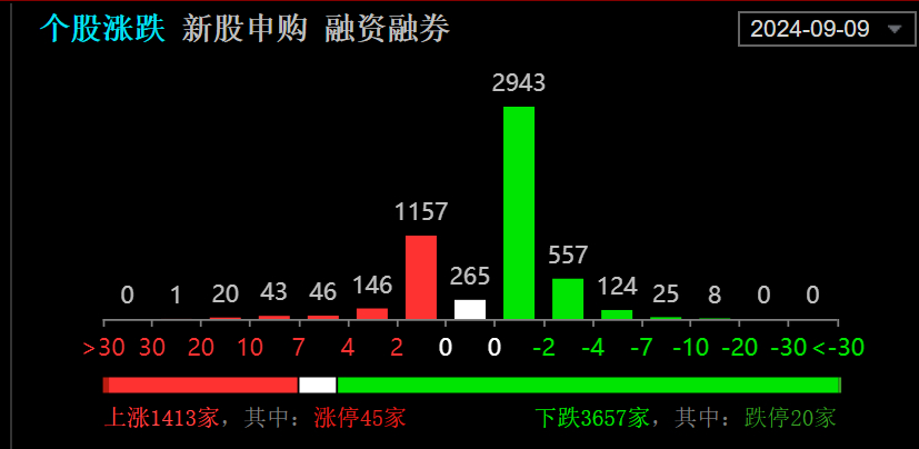 2024年12月5日 第59页