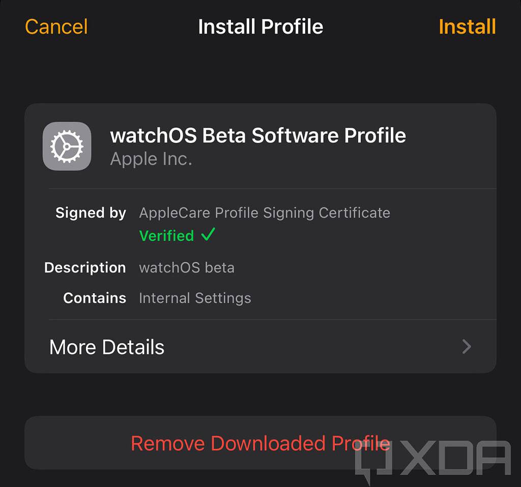 6o6678王中王免费提供,深入应用数据执行_watchOS17.263