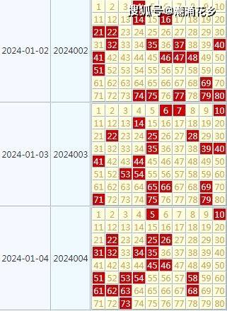 2024年天天开好彩资料,最新方案解析_Nexus93.863