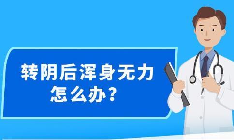 2024年12月5日 第24页