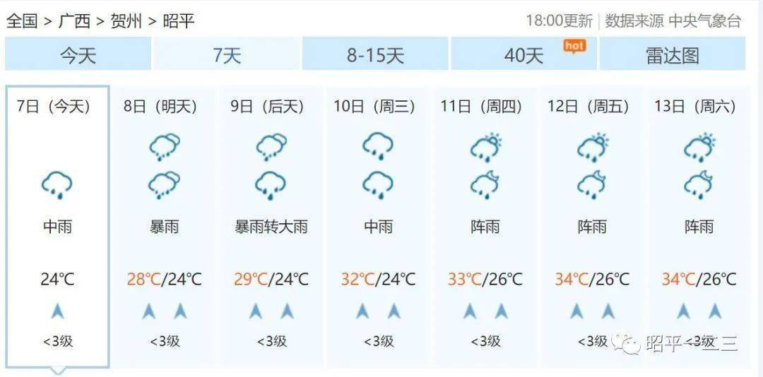 2024年12月5日 第10页