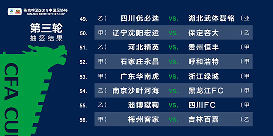 新澳门四肖三肖必开精准,全面执行计划数据_纪念版99.467