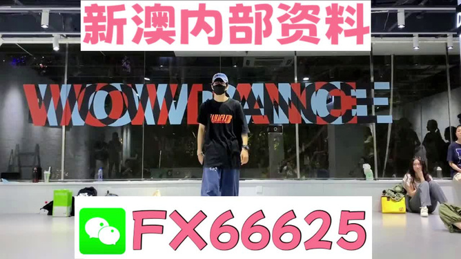 新澳门精准资料大全管家婆料,实践研究解析说明_3K99.646