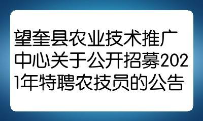 望奎县人民政府办公室最新招聘公告全解析