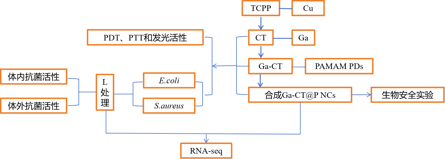 72396.C0m.72326查询,合理决策评审_XT14.280