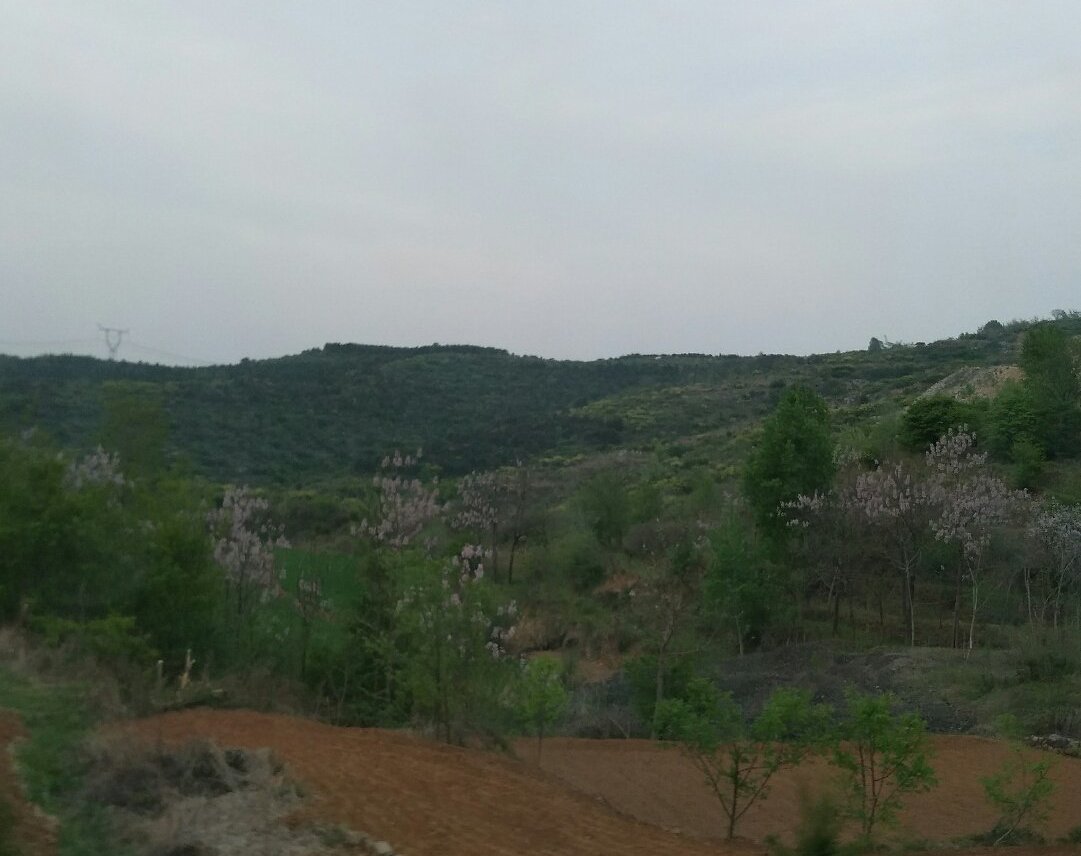 山西省晋城市泽州县犁川镇天气预报更新通知