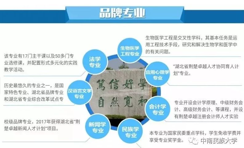 澳门特马新澳门特马,重要性解析方法_MT17.576