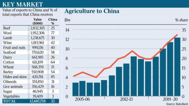 2024新澳正版免费资料,实地数据执行分析_豪华款22.72