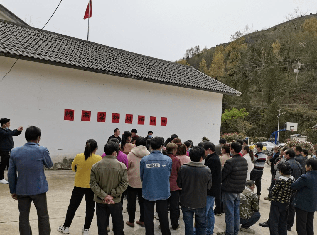 剪子岔村民委员会最新动态报道