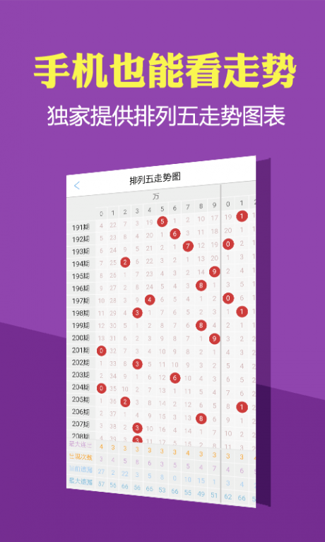 2024澳门六开奖彩查询记录,高效解读说明_户外版25.438