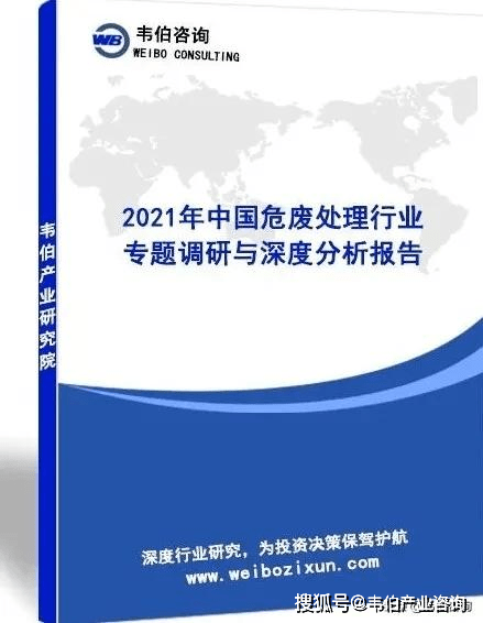 正版资料免费大全最新版本优势,深度调查解析说明_领航版96.528