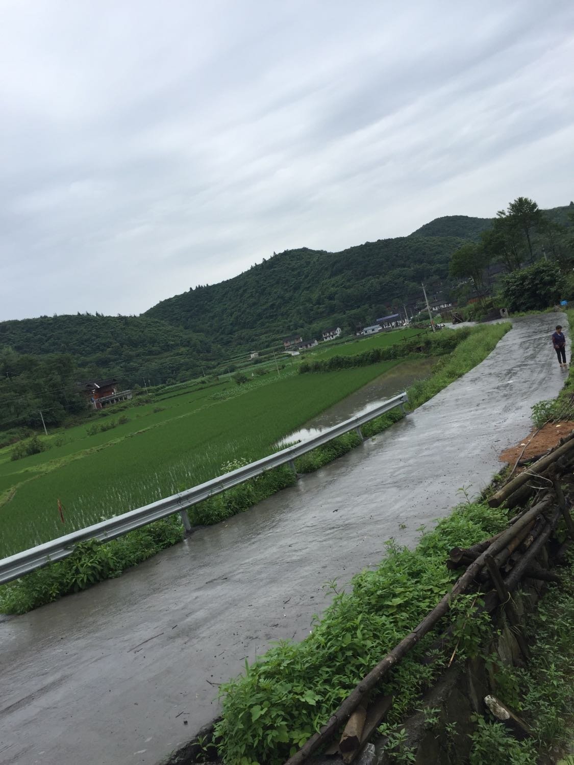 龙沼镇天气预报最新详解