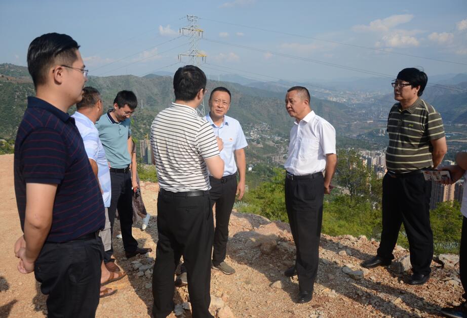 攀枝花市林业局绿色转型与生态建设融合项目启动，探索绿色发展的融合之路