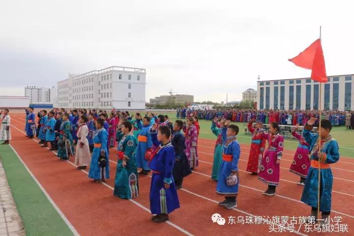 西乌珠穆沁旗小学最新项目，探索教育新境界，培育未来之星领袖人才