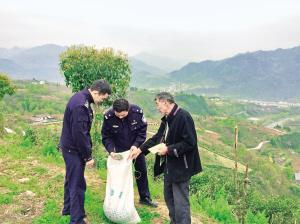 平利县农业农村局最新发展规划概览