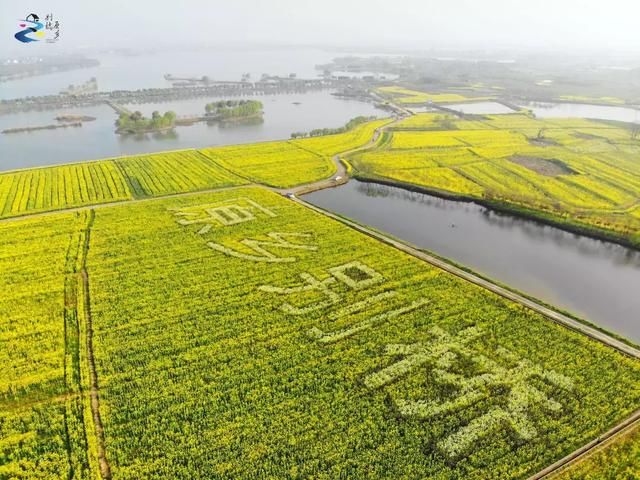 五顷原乡最新新闻揭秘，乡村新面貌蓬勃发展