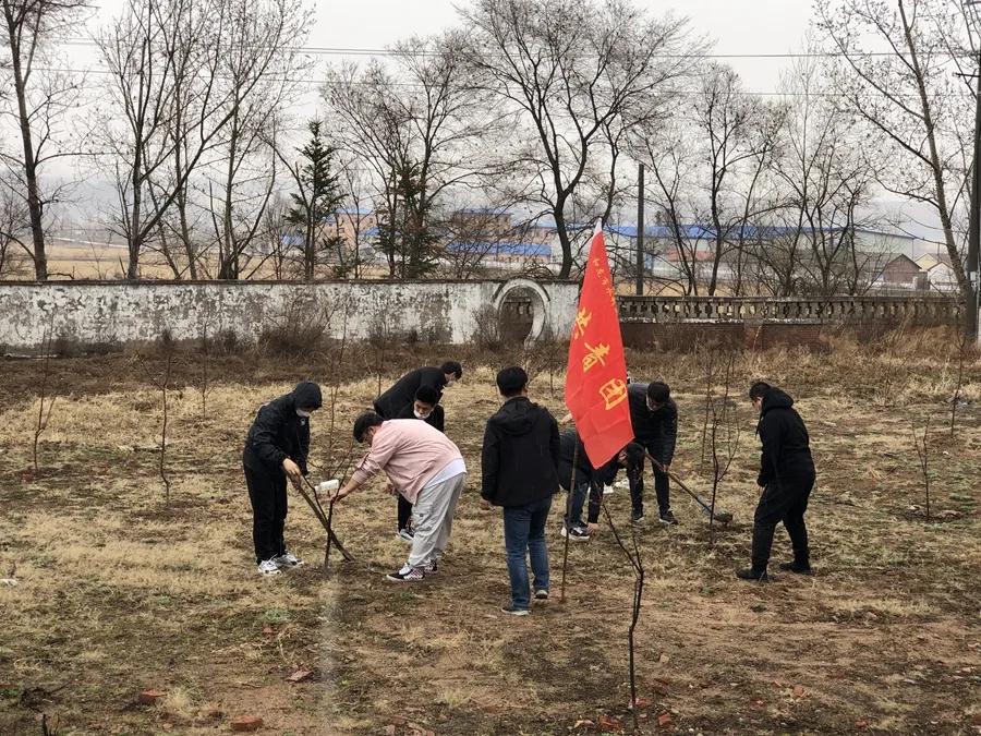 西城区水利局新项目推动水利建设，助力城市可持续发展进程